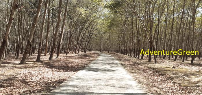 Travel guide to Kon Tum Province in the Central Highlands of Vietnam Travel guide to Kon Tum Province in the Central Highlands of Vietnam
