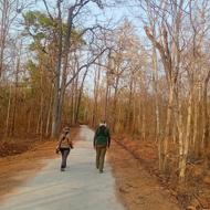 Birding at Yok Don National Park Vietnam Birding at Yok Don National Park Vietnam