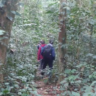 Trekking Hiking in the Jungle of Cuc Phuong National Park Trekking Hiking in the Jungle of Cuc Phuong National Park