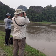 Birdwatching Tours in Ninh Binh Vietnam