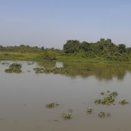 Birding by the Saigon River Vietnam Birding by the Saigon River Vietnam