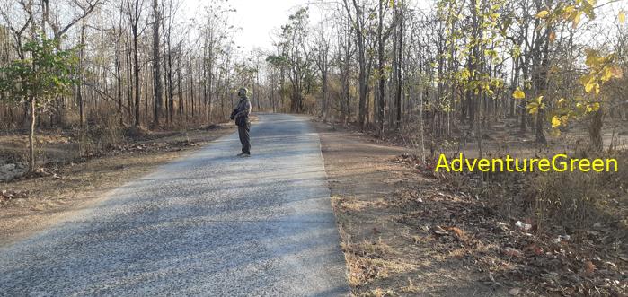 Birding at the Yok Don National Park Vietnam