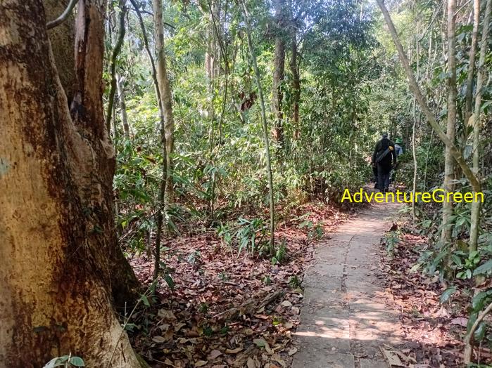 Walking in the forest of Cat Tien National Park