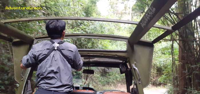 The second day birding at Cat Tien National Park: looking for novel bird species