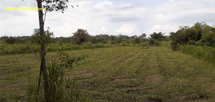 Birdwatching at the grassland of Cat Tien National Park