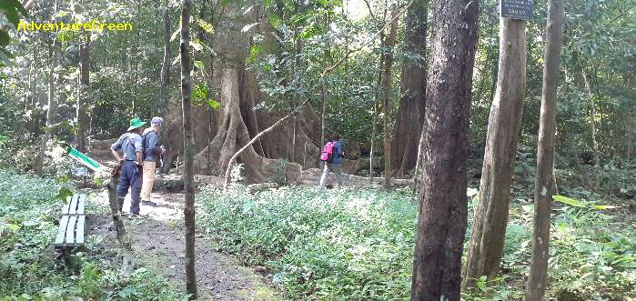 The second day birding at Cat Tien National Park: hiking to the Crocodile Lake