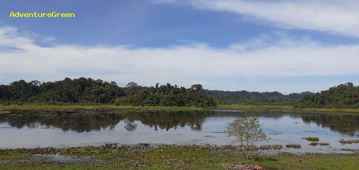 The second day birding at Cat Tien National Park: bird-watching at the Crocodile Lake