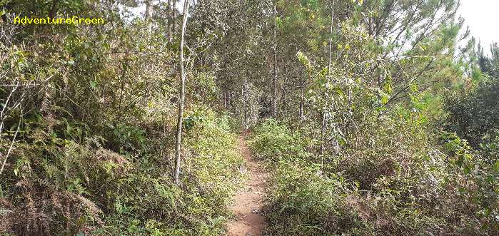 Bird watching at the Bidoup Nui Ba National Park in Vietnam