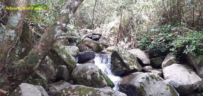 Bird watching at the Bidoup Nui Ba National Park in Vietnam