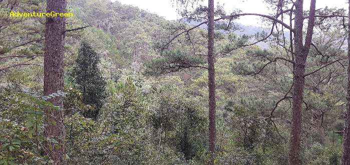 Bird watching at the Bidoup Nui Ba National Park in Vietnam