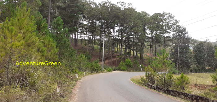 The scenic road to the Bidoup Nui Ba National Park in Lam Dong Vietnam