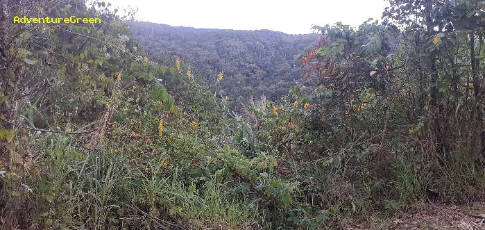 Birding in Da Lat Vietnam