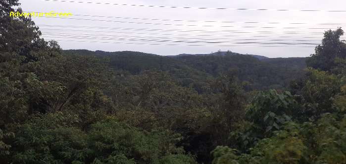 Birding in Da Lat Vietnam