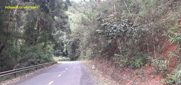 Birding in Dinh Linh, Lam Dong Province,  Vietnam