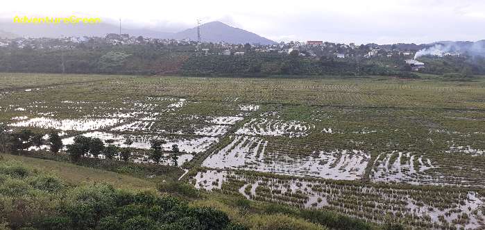 Birding in Dinh Linh, Lam Dong Province,  Vietnam