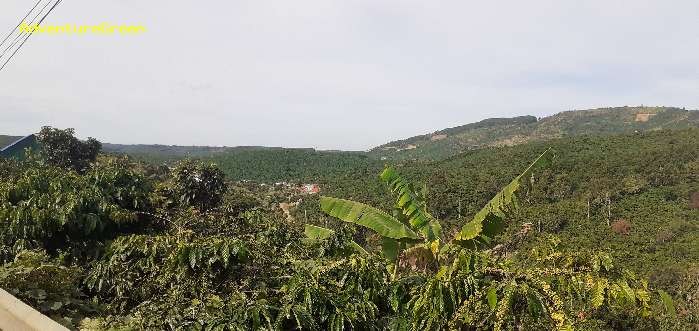 Birding in Dinh Linh, Lam Dong Province,  Vietnam