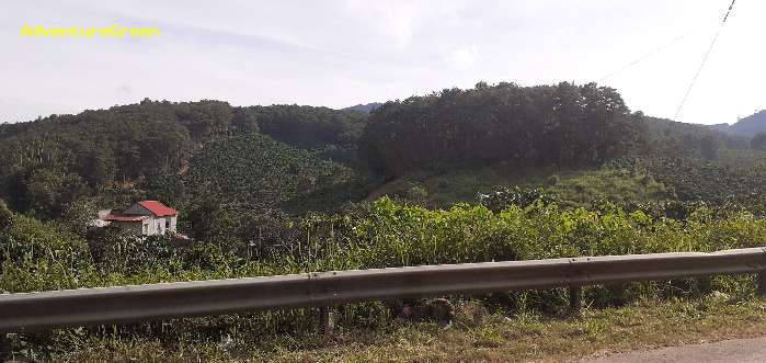 Birding in Dinh Linh, Lam Dong Province,  Vietnam