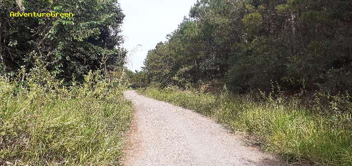 Birding in Dinh Linh, Lam Dong Province,  Vietnam