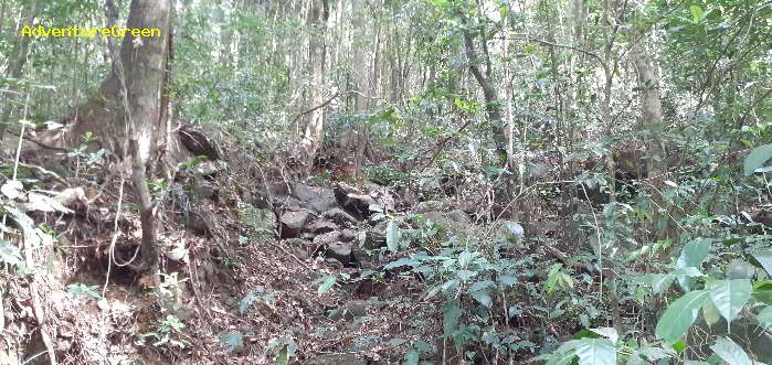 Birding in Dinh Linh, Lam Dong Province,  Vietnam