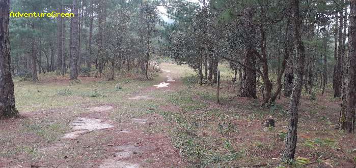 Trekking and hiking adventure to the summit of Mount Lang Biang, outside of Da Lat, Vietnam