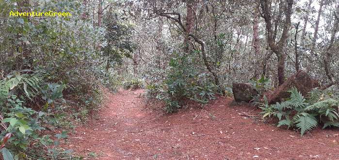 Trekking and hiking adventure to the summit of Mount Lang Biang, outside of Da Lat, Vietnam