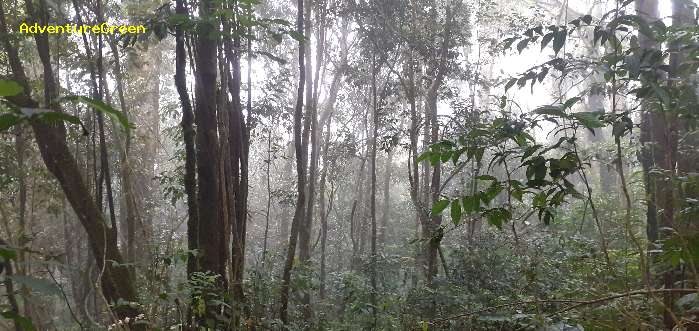 Trekking and hiking adventure to the summit of Mount Lang Biang, outside of Da Lat, Vietnam