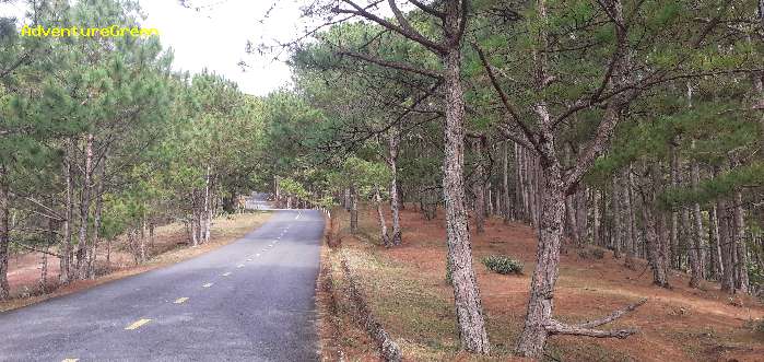 Trekking and hiking adventure to the summit of Mount Lang Biang, outside of Da Lat, Vietnam