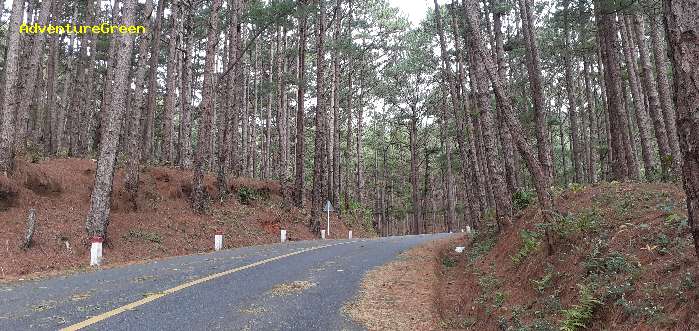 Trekking and hiking adventure to the summit of Mount Lang Biang, outside of Da Lat, Vietnam