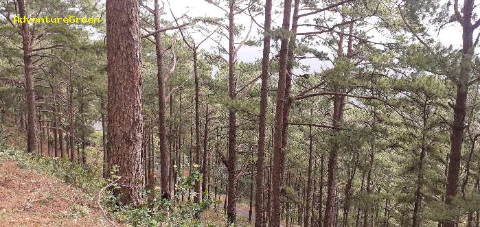 Trekking and hiking adventure to the summit of Mount Lang Biang, outside of Da Lat, Vietnam