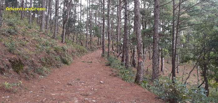 Trekking and hiking adventure to the summit of Mount Lang Biang, outside of Da Lat, Vietnam