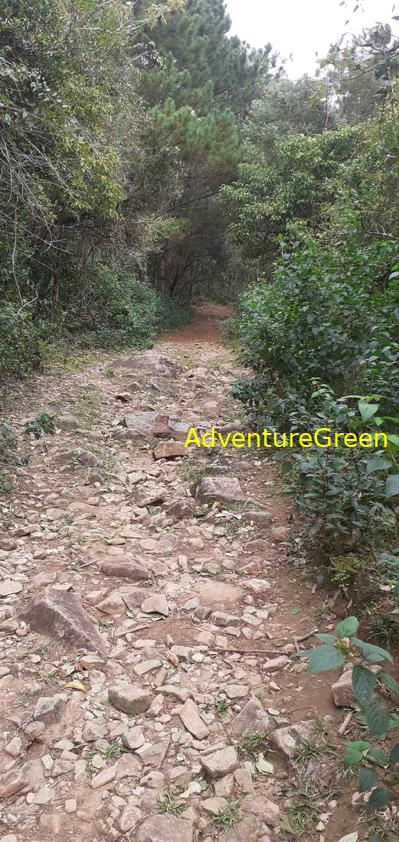 Trekking and hiking adventure to the summit of Mount Lang Biang, outside of Da Lat, Vietnam