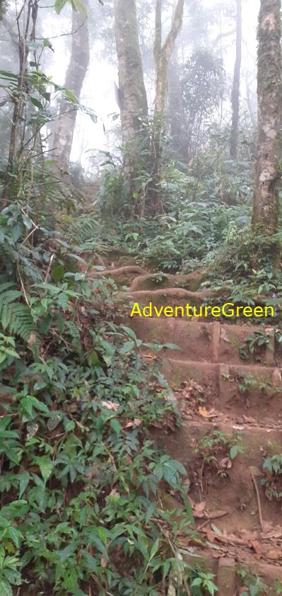 Trekking and hiking adventure to the summit of Mount Lang Biang, outside of Da Lat, Vietnam