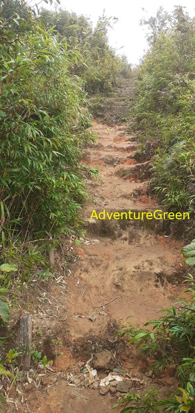 Trekking and hiking adventure to the summit of Mount Lang Biang, outside of Da Lat, Vietnam