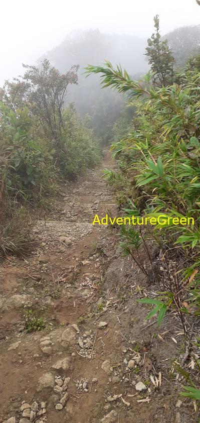 Trekking and hiking adventure to the summit of Mount Lang Biang, outside of Da Lat, Vietnam