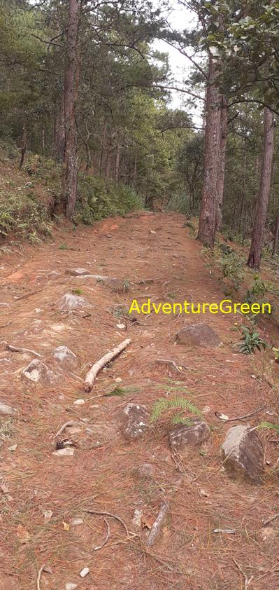 Trekking and hiking adventure to the summit of Mount Lang Biang, outside of Da Lat, Vietnam