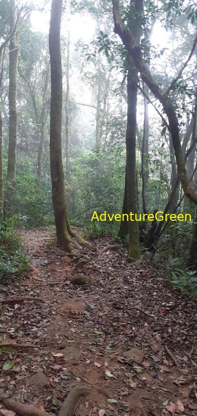 Trekking and hiking adventure to the summit of Mount Lang Biang, outside of Da Lat, Vietnam