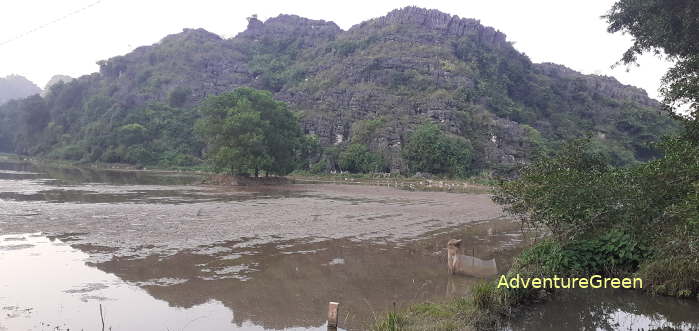 A heavenly birding site in Ninh Binh Vietnam