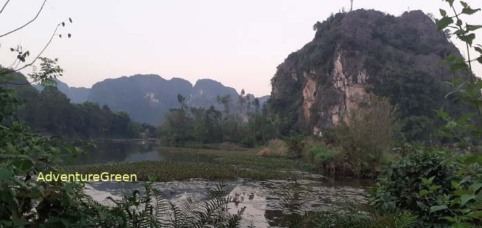 A heavenly birding site in Ninh Binh Vietnam