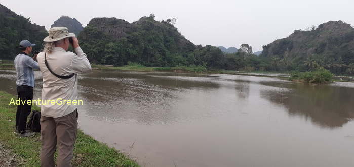 Birdwatching in Ninh Binh Vietnam