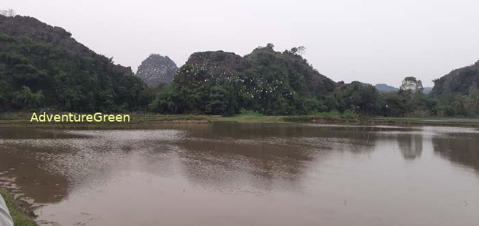 Birdwatching in Ninh Binh Vietnam