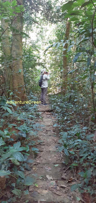 Birdwatching in Ninh Binh Vietnam