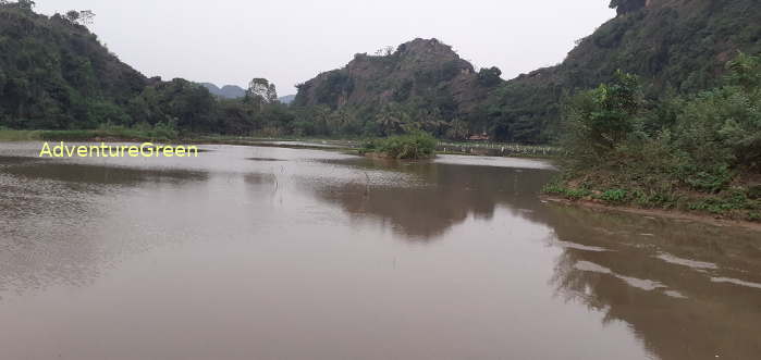 Birdwatching in Ninh Binh Vietnam