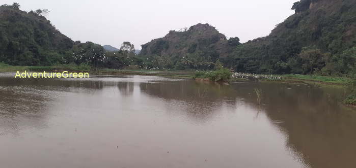 Birdwatching in Ninh Binh Vietnam