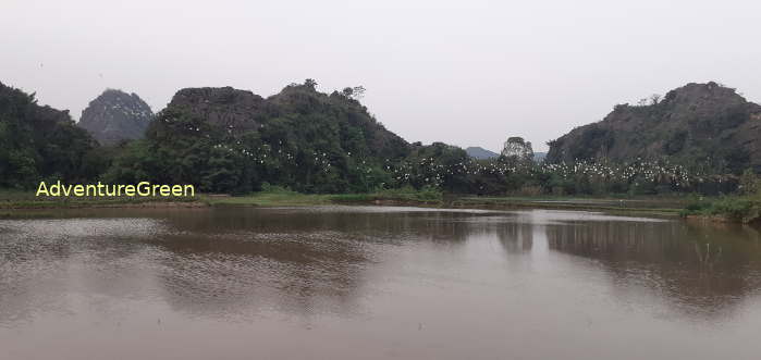 Birdwatching in Ninh Binh Vietnam