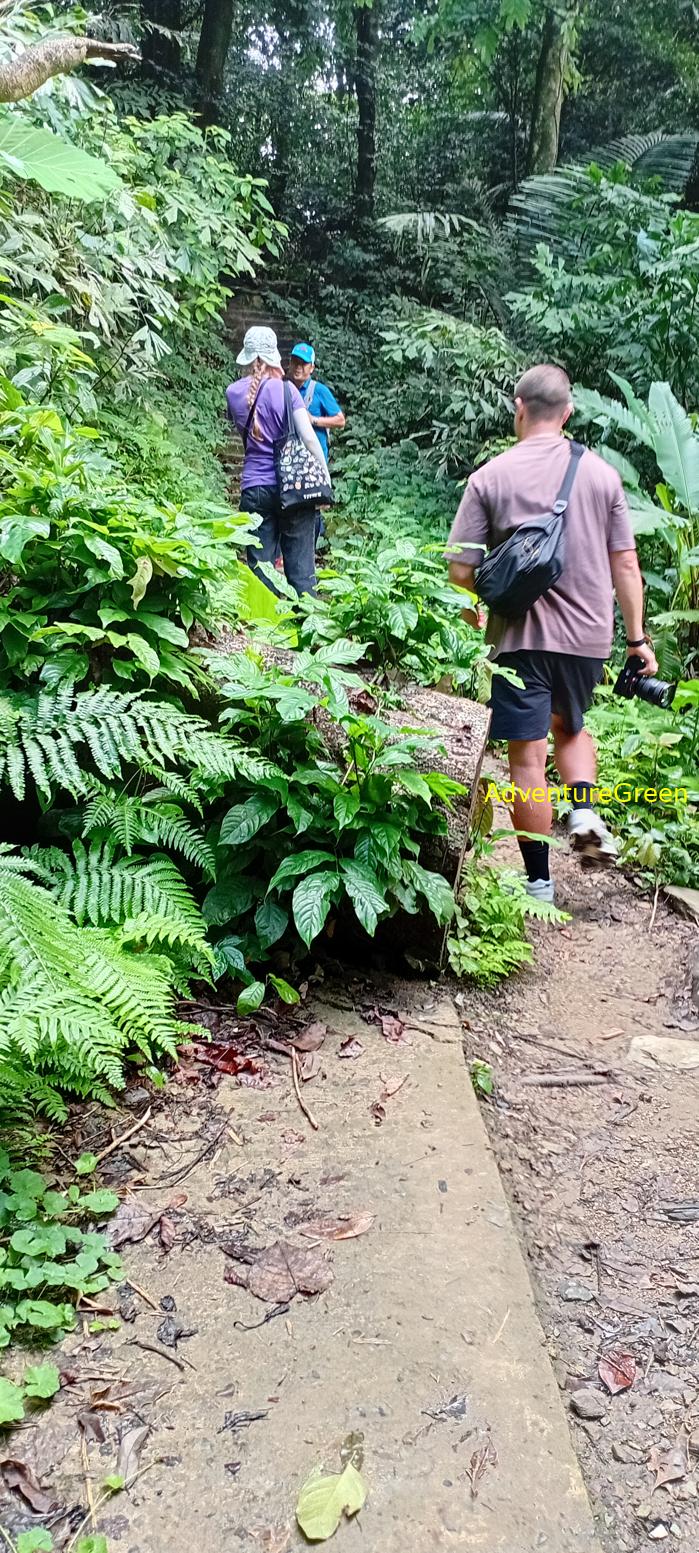 A flora and fauna tour of Cuc Phuong National Park, Ninh Binh, Vietnam A flora and fauna tour of Cuc Phuong National Park, Ninh Binh, Vietnam