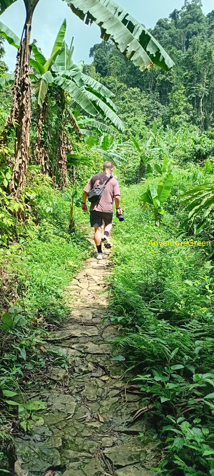 A flora and fauna tour of Cuc Phuong National Park, Ninh Binh, Vietnam A flora and fauna tour of Cuc Phuong National Park, Ninh Binh, Vietnam