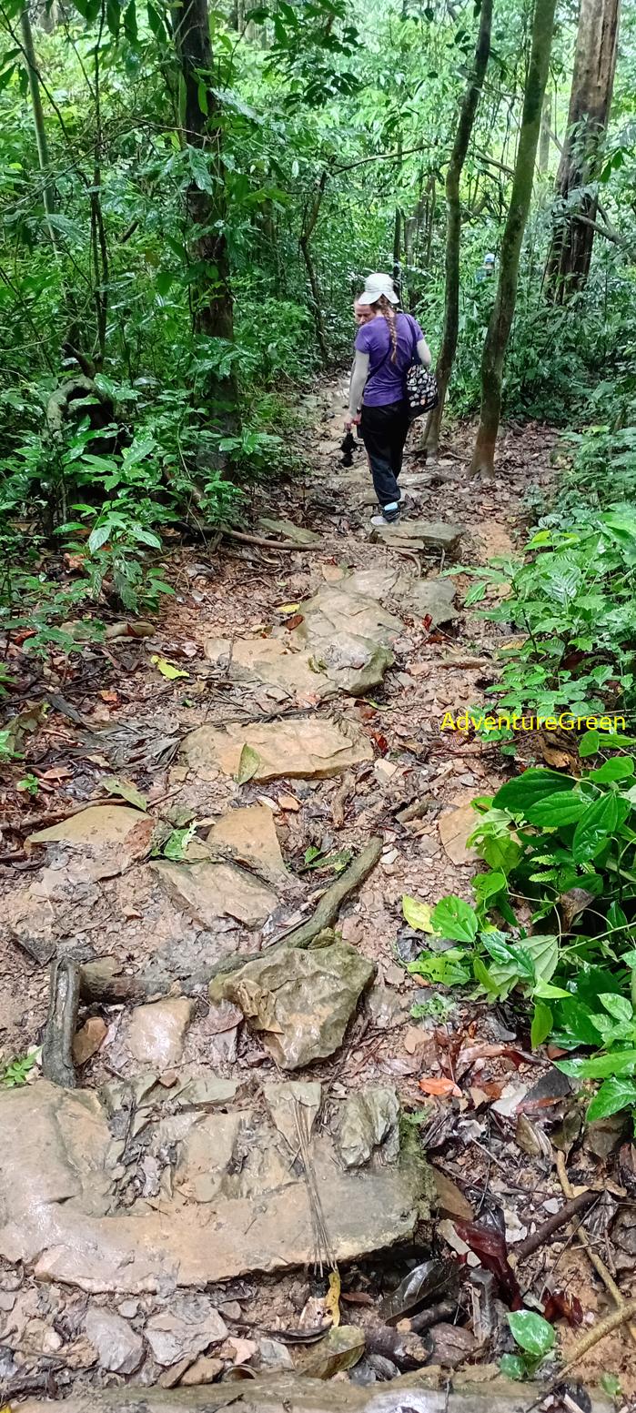 A flora and fauna tour of Cuc Phuong National Park, Ninh Binh, Vietnam A flora and fauna tour of Cuc Phuong National Park, Ninh Binh, Vietnam