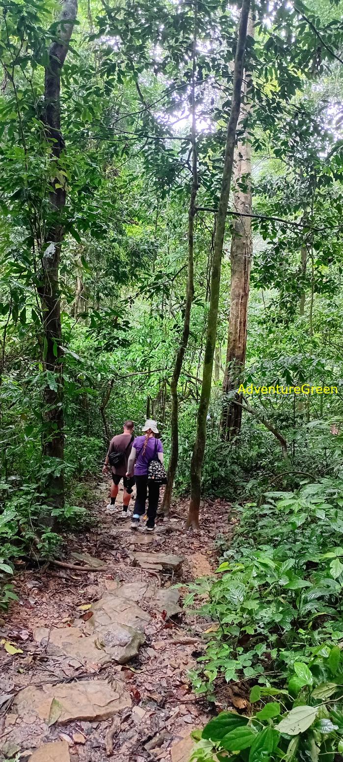 A flora and fauna tour of Cuc Phuong National Park, Ninh Binh, Vietnam A flora and fauna tour of Cuc Phuong National Park, Ninh Binh, Vietnam