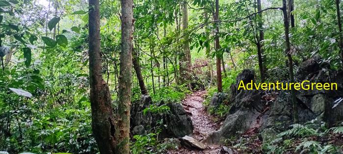A flora and fauna tour of Cuc Phuong National Park, Ninh Binh, Vietnam A flora and fauna tour of Cuc Phuong National Park, Ninh Binh, Vietnam