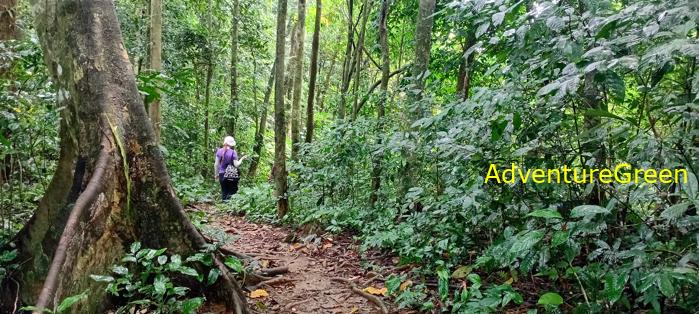 A flora and fauna tour of Cuc Phuong National Park, Ninh Binh, Vietnam A flora and fauna tour of Cuc Phuong National Park, Ninh Binh, Vietnam